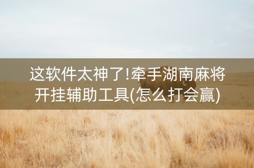 这软件太神了!牵手湖南麻将开挂辅助工具(怎么打会赢)