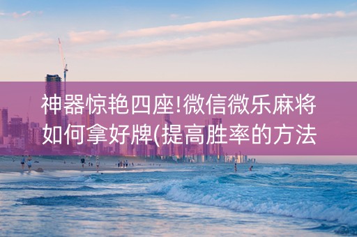 神器惊艳四座!微信微乐麻将如何拿好牌(提高胜率的方法)
