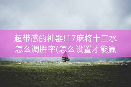 超带感的神器!17麻将十三水怎么调胜率(怎么设置才能赢)