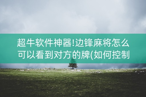 超牛软件神器!边锋麻将怎么可以看到对方的牌(如何控制输赢)