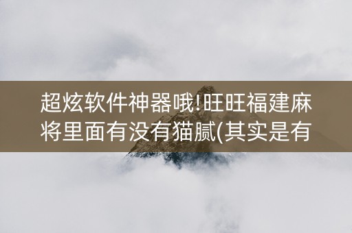 超炫软件神器哦!旺旺福建麻将里面有没有猫腻(其实是有挂确实有挂)