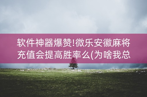 软件神器爆赞!微乐安徽麻将充值会提高胜率么(为啥我总是输)
