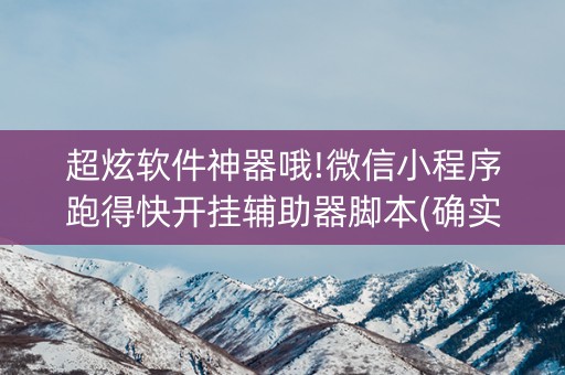 超炫软件神器哦!微信小程序跑得快开挂辅助器脚本(确实真的有挂)