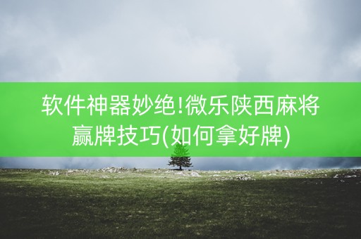 软件神器妙绝!微乐陕西麻将赢牌技巧(如何拿好牌)