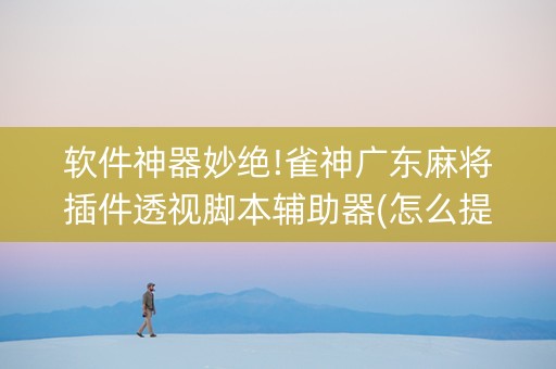 软件神器妙绝!雀神广东麻将插件透视脚本辅助器(怎么提手拿好牌)
