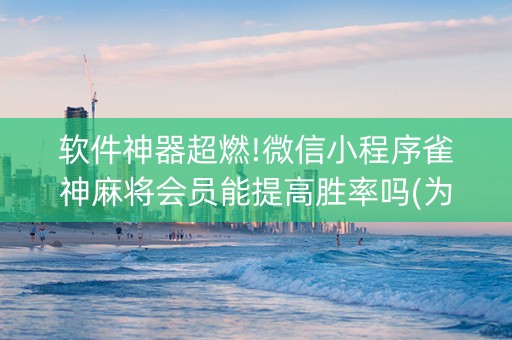 软件神器超燃!微信小程序雀神麻将会员能提高胜率吗(为什么总是输)