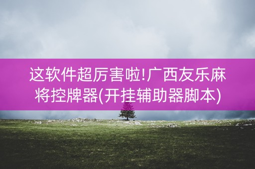 这软件超厉害啦!广西友乐麻将控牌器(开挂辅助器脚本)