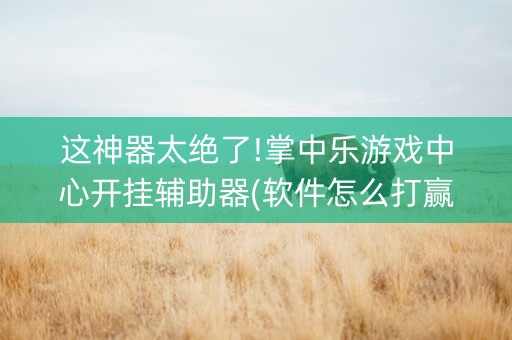 这神器太绝了!掌中乐游戏中心开挂辅助器(软件怎么打赢)