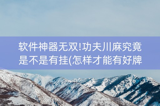 软件神器无双!功夫川麻究竟是不是有挂(怎样才能有好牌)