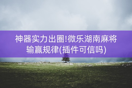 神器实力出圈!微乐湖南麻将输赢规律(插件可信吗)