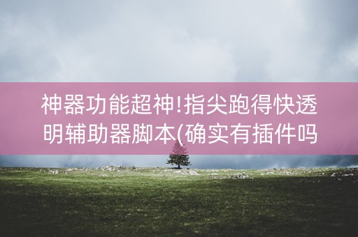 神器功能超神!指尖跑得快透明辅助器脚本(确实有插件吗)