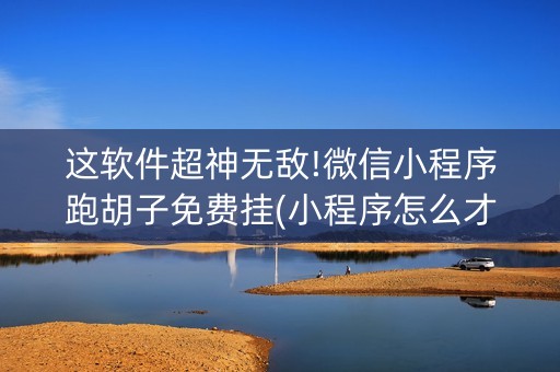这软件超神无敌!微信小程序跑胡子免费挂(小程序怎么才会赢)