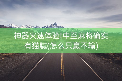 神器火速体验!中至麻将确实有猫腻(怎么只赢不输)
