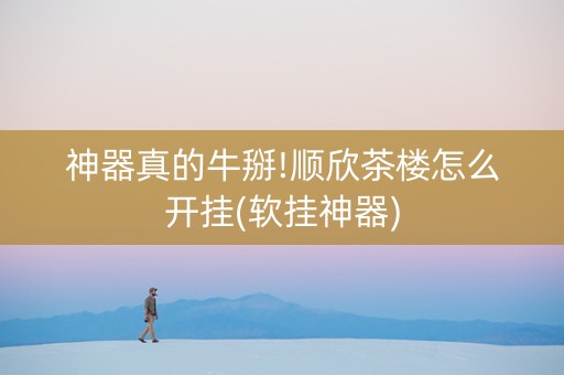 神器真的牛掰!顺欣茶楼怎么开挂(软挂神器)