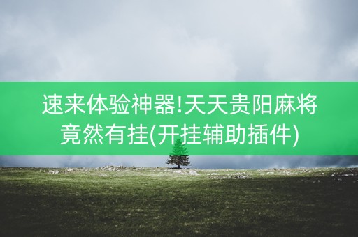 速来体验神器!天天贵阳麻将竟然有挂(开挂辅助插件)