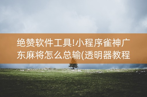 绝赞软件工具!小程序雀神广东麻将怎么总输(透明器教程)