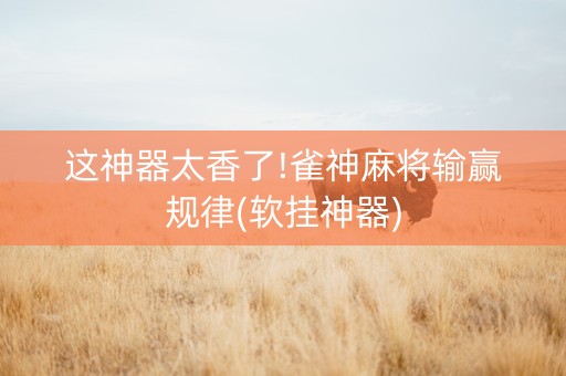 这神器太香了!雀神麻将输赢规律(软挂神器)