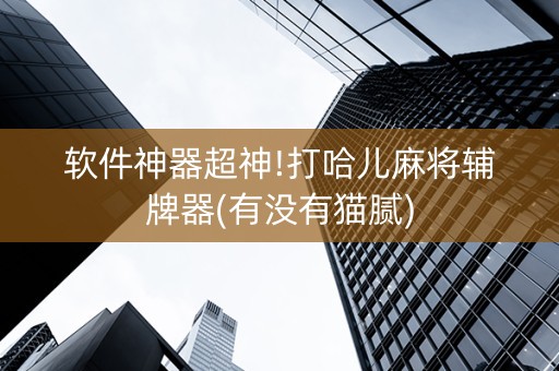 软件神器超神!打哈儿麻将辅牌器(有没有猫腻)