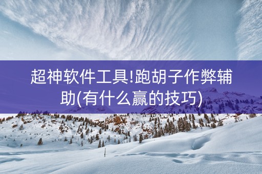 超神软件工具!跑胡子作弊辅助(有什么赢的技巧)