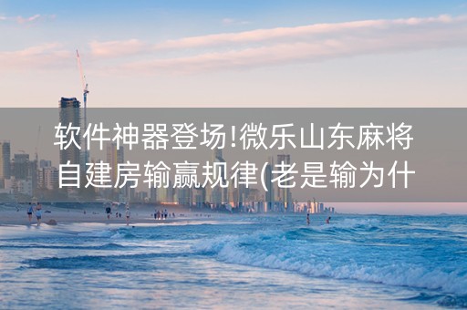 软件神器登场!微乐山东麻将自建房输赢规律(老是输为什么)