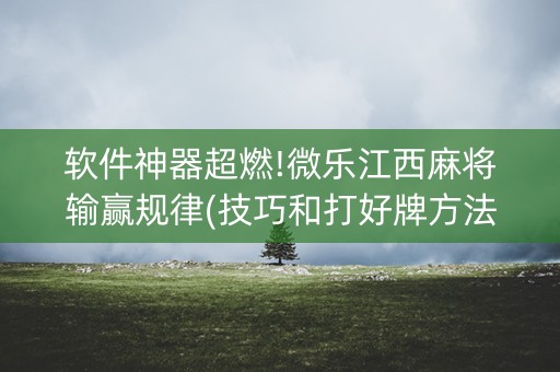软件神器超燃!微乐江西麻将输赢规律(技巧和打好牌方法)