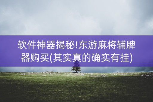 软件神器揭秘!东游麻将辅牌器购买(其实真的确实有挂)