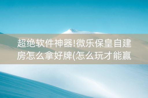 超绝软件神器!微乐保皇自建房怎么拿好牌(怎么玩才能赢)