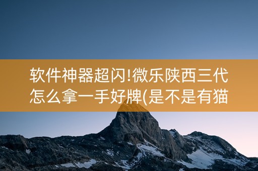 软件神器超闪!微乐陕西三代怎么拿一手好牌(是不是有猫腻)