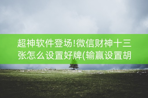 超神软件登场!微信财神十三张怎么设置好牌(输赢设置胡牌规律)