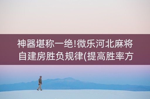 神器堪称一绝!微乐河北麻将自建房胜负规律(提高胜率方法)