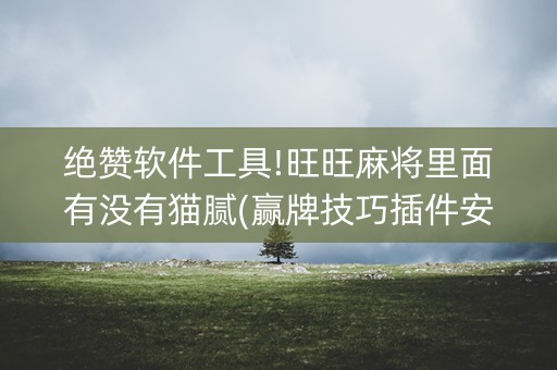 绝赞软件工具!旺旺麻将里面有没有猫腻(赢牌技巧插件安装)