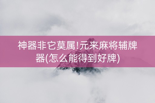 神器非它莫属!元来麻将辅牌器(怎么能得到好牌)