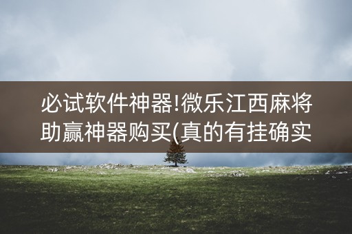 必试软件神器!微乐江西麻将助赢神器购买(真的有挂确实有挂)