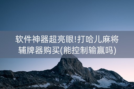 软件神器超亮眼!打哈儿麻将辅牌器购买(能控制输赢吗)