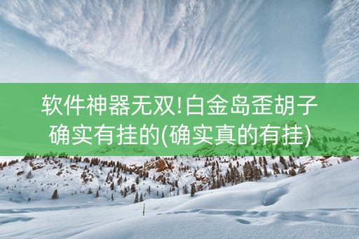 软件神器无双!白金岛歪胡子确实有挂的(确实真的有挂)
