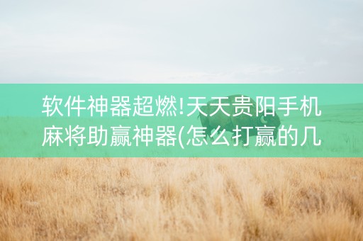 软件神器超燃!天天贵阳手机麻将助赢神器(怎么打赢的几率大)