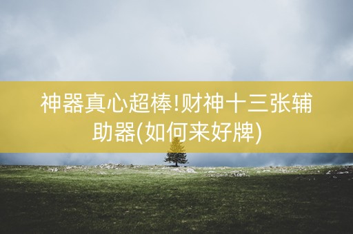 神器真心超棒!财神十三张辅助器(如何来好牌)