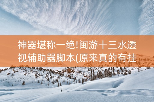 神器堪称一绝!闽游十三水透视辅助器脚本(原来真的有挂)