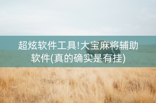 超炫软件工具!大宝麻将辅助软件(真的确实是有挂)