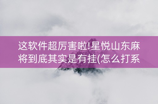 这软件超厉害啦!星悦山东麻将到底其实是有挂(怎么打系统才能给好牌)