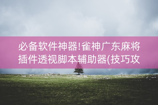 必备软件神器!雀神广东麻将插件透视脚本辅助器(技巧攻略怎样拿好牌)
