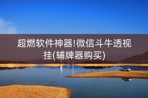 超燃软件神器!微信斗牛透视挂(辅牌器购买)