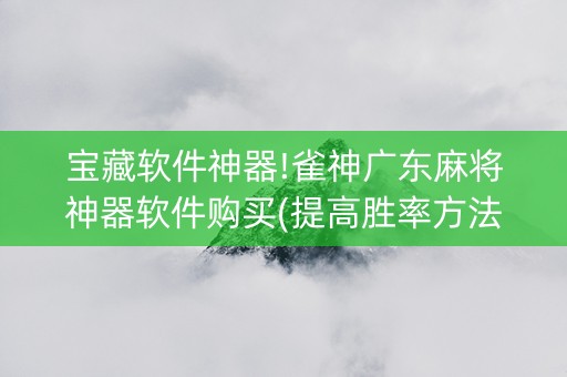宝藏软件神器!雀神广东麻将神器软件购买(提高胜率方法)