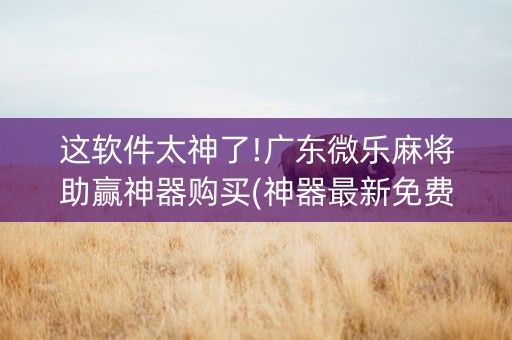 这软件太神了!广东微乐麻将助赢神器购买(神器最新免费)