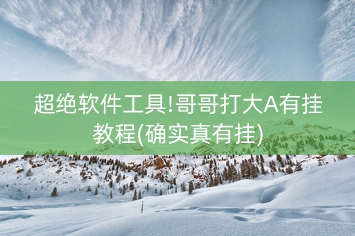 超绝软件工具!哥哥打大A有挂教程(确实真有挂)