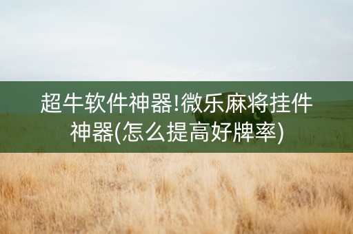 超牛软件神器!微乐麻将挂件神器(怎么提高好牌率)