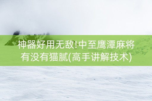 神器好用无敌!中至鹰潭麻将有没有猫腻(高手讲解技术)