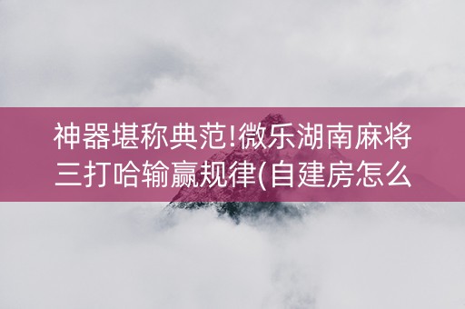神器堪称典范!微乐湖南麻将三打哈输赢规律(自建房怎么拿好牌)