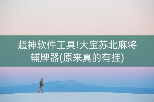 超神软件工具!大宝苏北麻将辅牌器(原来真的有挂)