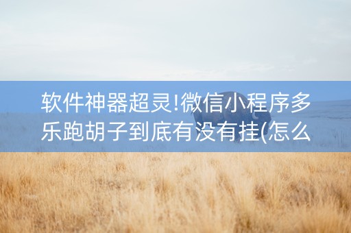 软件神器超灵!微信小程序多乐跑胡子到底有没有挂(怎么老是输)